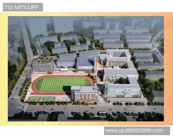 成都排球队的崛起之路：从默默无闻到大满贯的辉煌历程